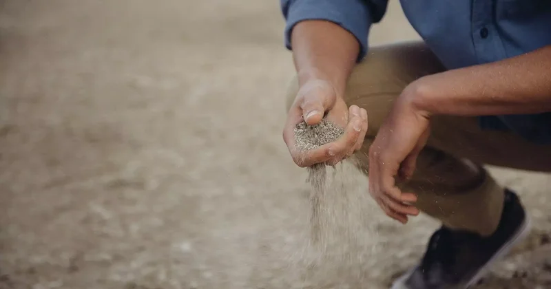 Жамбыл облысында үш адам құмды далада адасып кетті