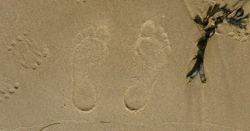 Автопутешественники потерялись в песчаной зоне Жамбылской области