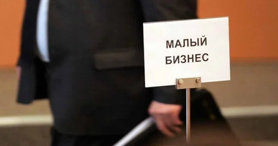 Предприниматели оттягиваются в сторону малого бизнеса из за привилегий Такиев