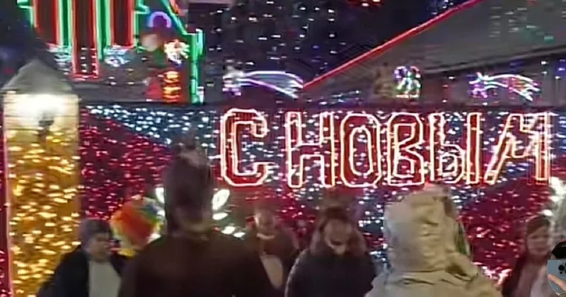 Гордость Шелека : украшенный к Новому году дом в Алматинской области поразил пользователей Сети (видео)