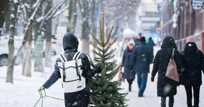 До 16 градусов тепла обещают в Шымкенте в последние дни декабря
