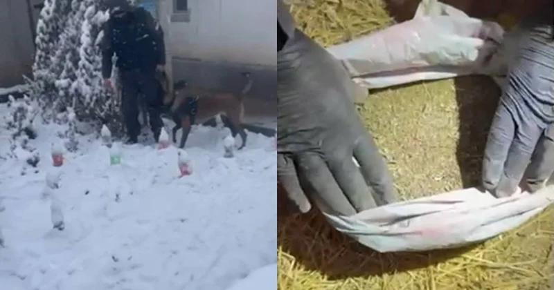 Партию наркотиков в особо крупном размере изъяли в Алматы