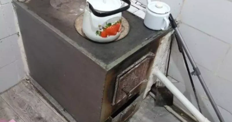 Шымкентте бір үйдің 8 адамы уланып қалды