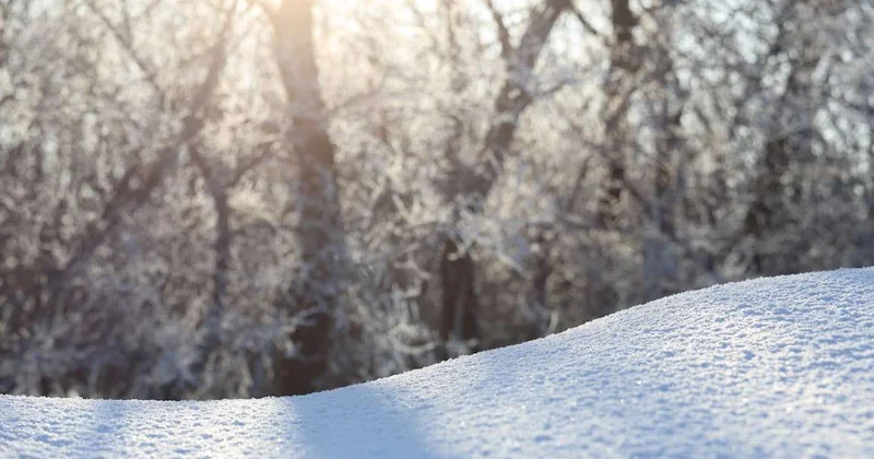 О погоде в Казахстане на первые дни февраля сообщили синоптики