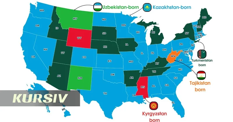 Visualization of where Central Asians are settling in U.S.