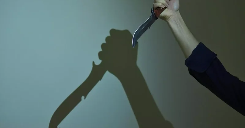 Шымкентте пышақ жарақатынан тағы бір әйел көз жұмды