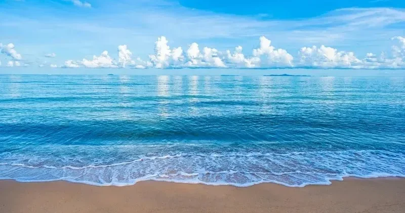 Ақтауда теңіз жағалауынан әйелдің денесі табылды