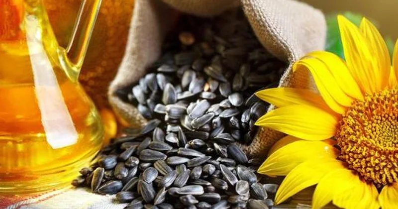 Қазақстандық май өндірушілер Эстонияға 5 млн доллар көлемінде өнім жеткізеді