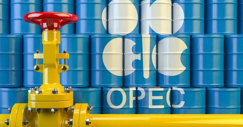 OPEC қоры Қазақстанға 2,5 5% несие ұсынады