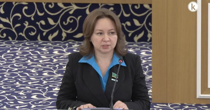 Ұсынылған өзгерістер Конституцияның басым бөлігін қамтиды Снежанна Имашева