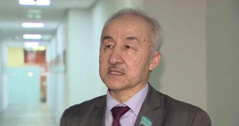 Инвестиция конституциямен емес, салалық заңдармен реттелуі тиіс экономист