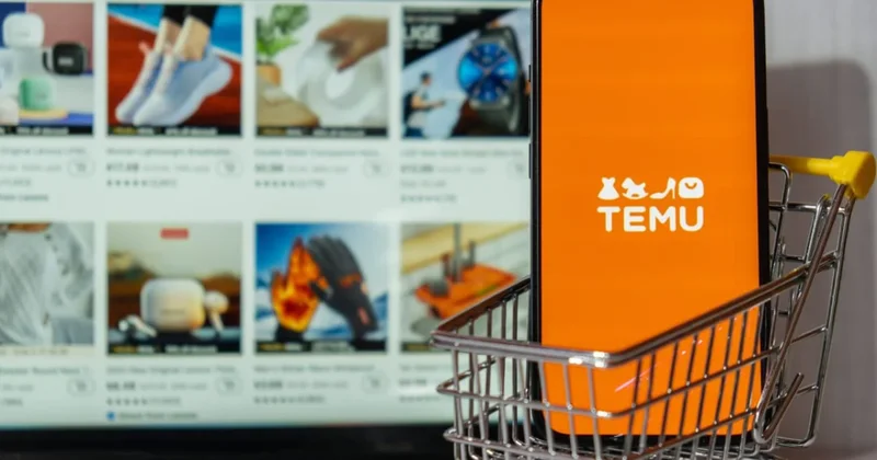 Обыски прошли в офисе Temu в Турции