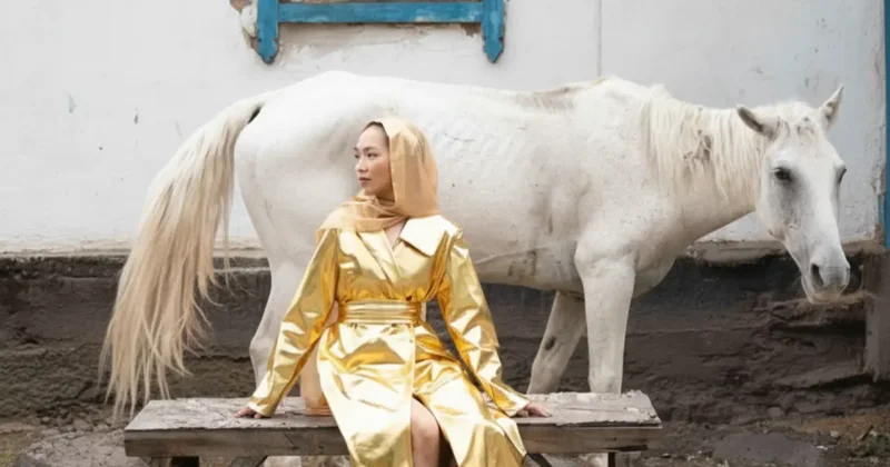 "Bipl ай, Сөзіңе қой фильтр ай". Еңлік Құрарбектің әні желіде қалай пародия айтысты тудырды