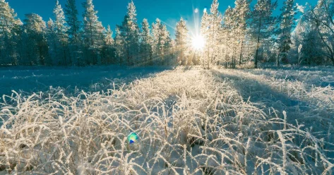 Повышение температуры воздуха ожидается в ряде областей Казахстана