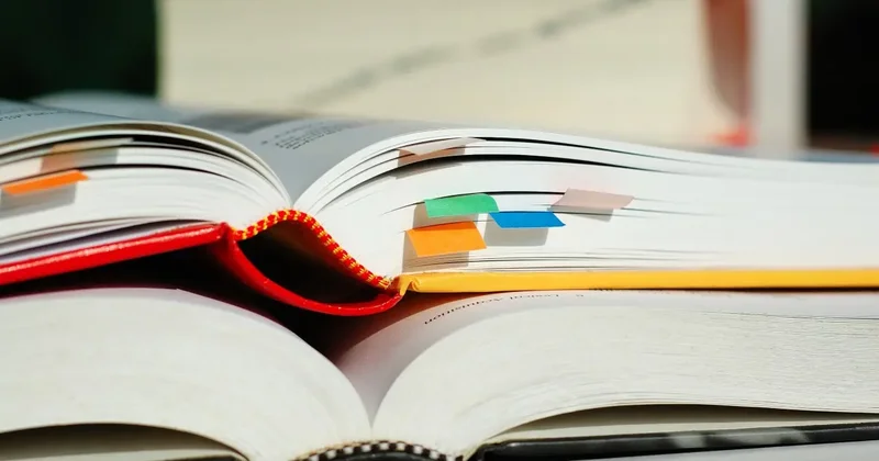 "Самопознание" и не только: о судьбе неактуальных школьных учебников рассказали в Минпросвете