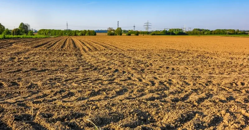 Елімізде жер комиссияларының жұмысы тоқтатылады