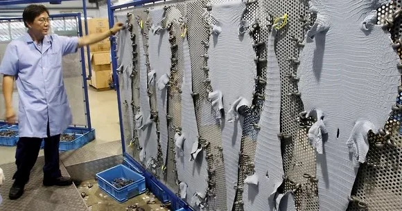 Prada еңбек құқықтарын бұзған 200 ден астам мердігермен келісімшартты үзді