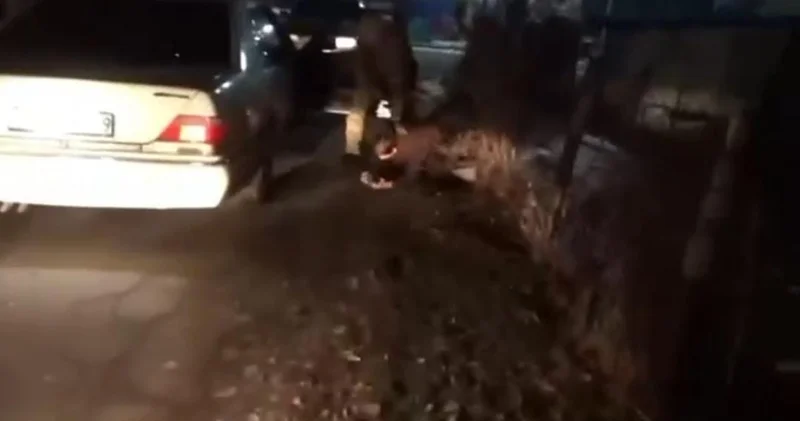 Жәбірленушіге психологиялық қысым көрсеткен : Жетісуда дропперлікпен айналысқан үш жігіт ұсталды