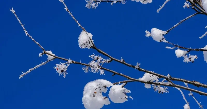 31 қаңтарда қай өңірлерде ауа райына байланысты ескерту жасалды