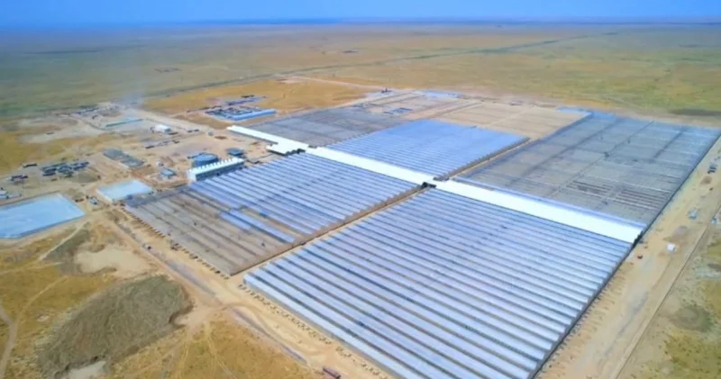 Түркістан облысында еліміздегі ең ірі өнеркәсіптік жылыжай кешені іске қосылады