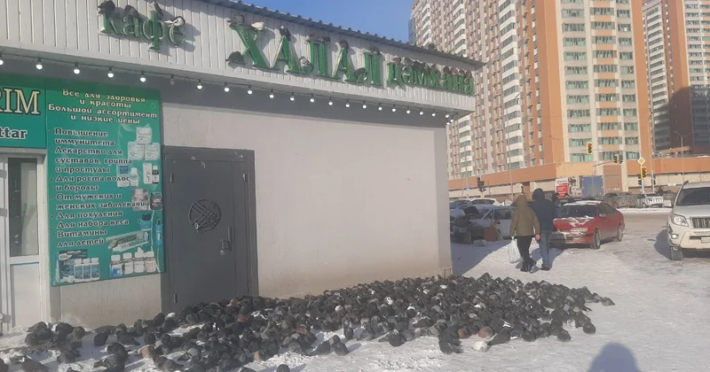 Қыраудай қатқан қара өлең