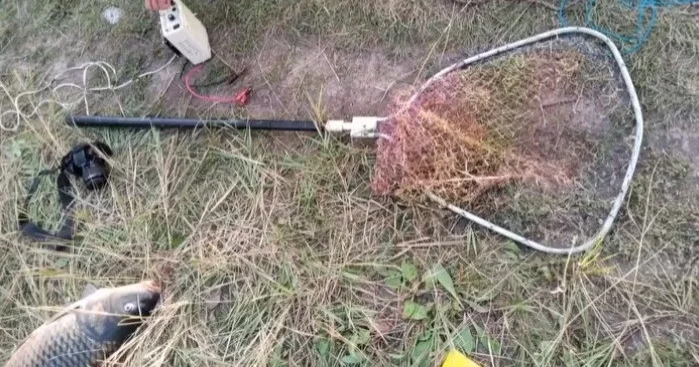 СҚО мен Ақмола облысында 15 сәуірден бастап балықтың кей түрлерін аулауға тыйым салынады