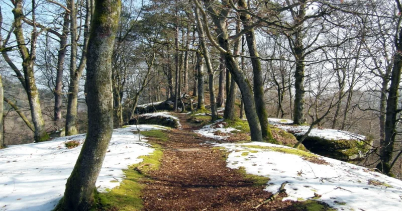 Погода готовит сюрпризы казахстанцам