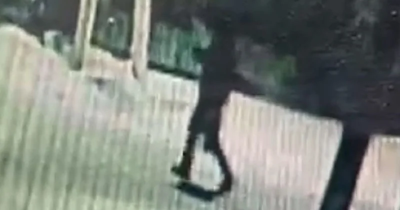 Вскрыли сейф болгаркой: оружие и деньги вынесли из дома акмолинского бизнесмена