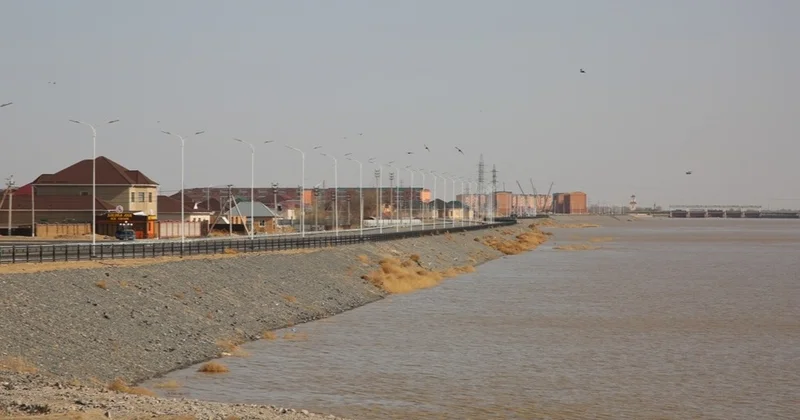 Арал Сырдария бассейнінде балық аулауға шектеу қойылды