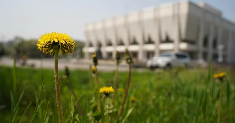До +32 тепла: какой будет погода по Казахстану в первые дни апреля