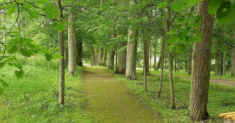 Парк с сенсорными дорожками появится в Алматы