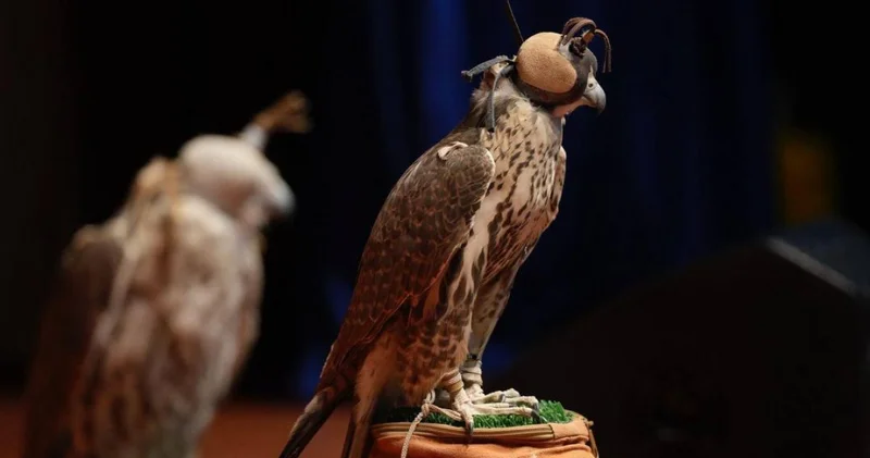 Жетісу өңірінде ителгіні табиғи ортаға қосу іс шарасы өтті