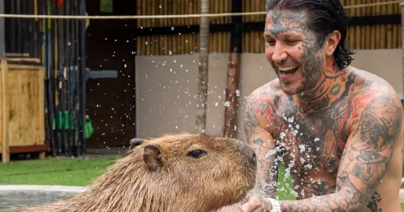 Московский суд оштрафовал казахстанского рэпера за оскорбительный трек