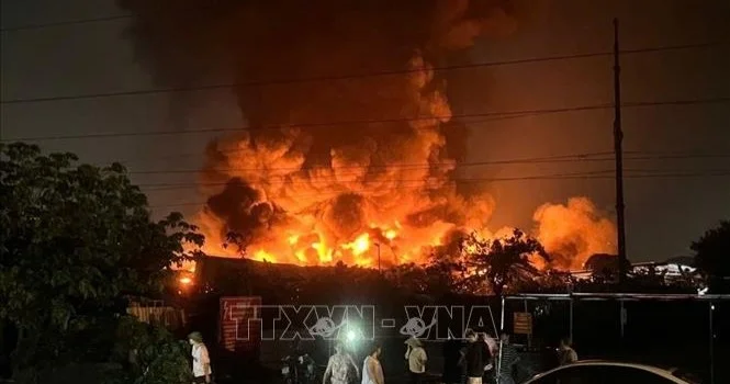 Вьеинамда ағаш өңдеу зауыты алапат өртке оранды