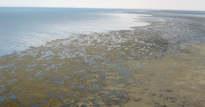 Орталық Азия мемлекет басшылары сәуірде Астанада бас қосады