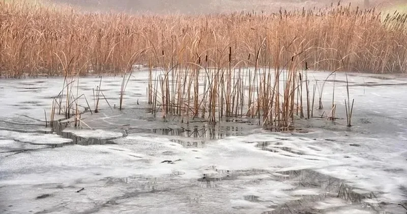 Ақмола облысында өзен тасып, көпірді су басып қалды