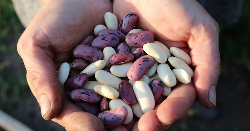 Что едят люди, доживающие до 100 лет