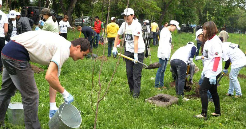 Посадили деревья, почистили дворы
