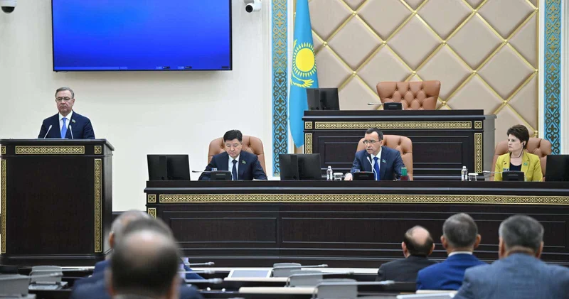 Сенаторы предложили маслихатам самим определять порядок и сроки отлова и усыпления бродячих собак