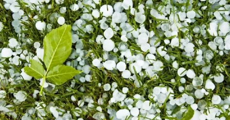 Дождь с градом пройдет на северо западе Казахстана