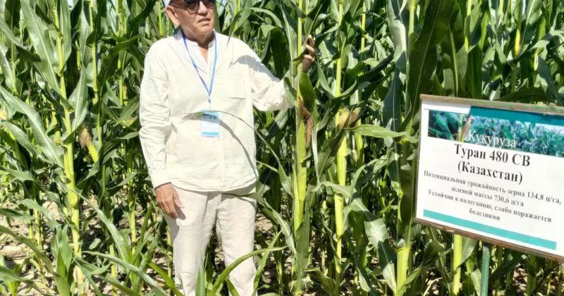 Сберечь поливные ресурсы, повысить урожайность