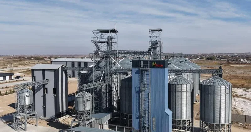 Орталық Азиядағы ең ірі кешен: Түркістан облысында жүгері өңдейтін зауыт іске қосылады