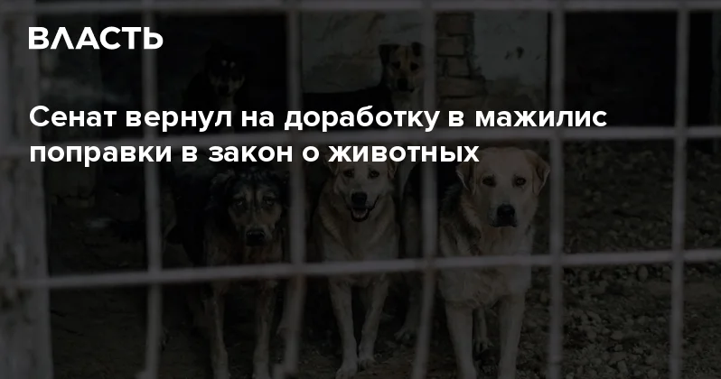 Сенат вернул на доработку в мажилис поправки в закон о животных Аналитический интернет журнал Власть