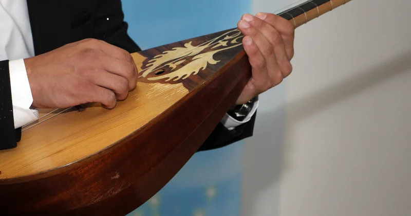 Можно ли в ручной клади перевозить домбру на самолете