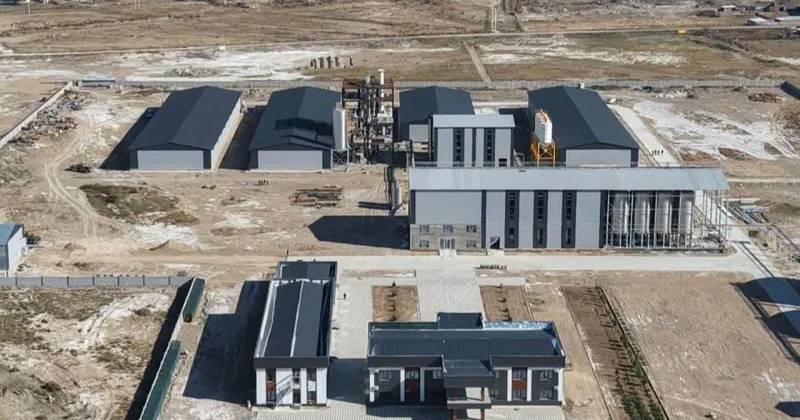 Қазақстанда Орталық Азиядағы ең ірі жүгері өңдеу зауыты салынып жатыр