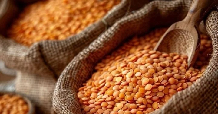 Қазақстанда агроөндірістің жаңа моделі: фермерлер жасымық жеткізуге келісті