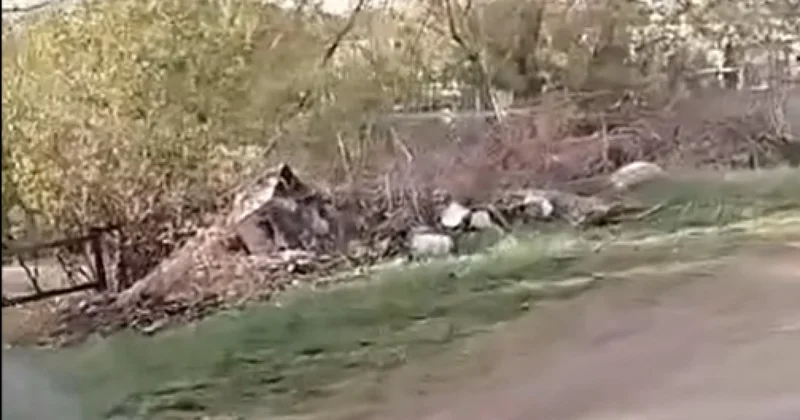 После родительского дня кладбище в Акмолинской области превратилось в свалку