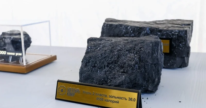 Көмірхимия жаңа драйвер: саланы дамытуға арналған жол картасы дайын