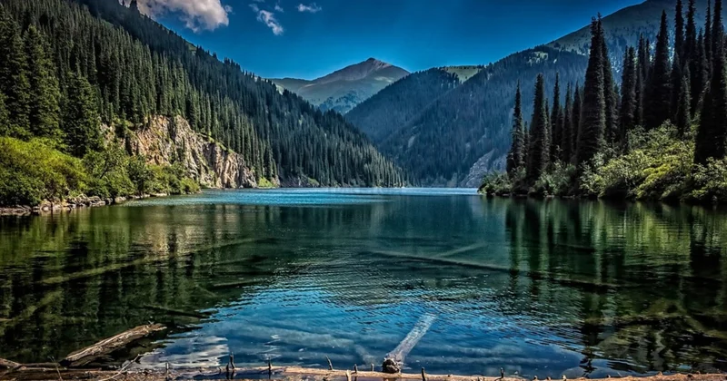 Алматы облысында демалыс күндері жаппай тазалық акциясы ұйымдастырылады