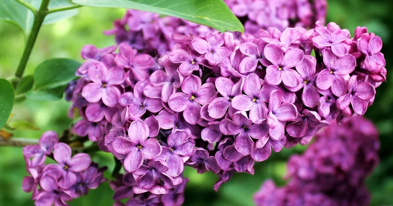 Жителям Алматы пообещали почти летнее тепло